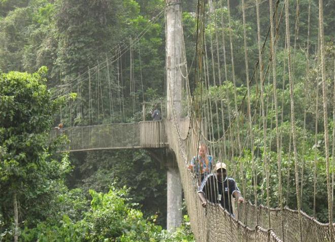 Подвесной мост в Национальном парке Какум