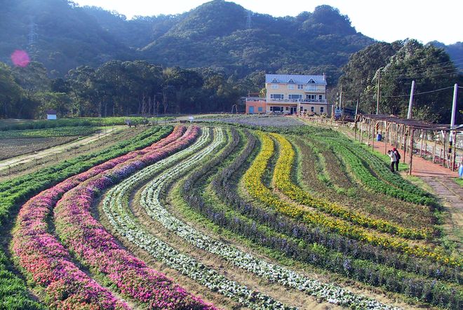 Цветочный сад в Таоюане