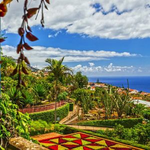 Ботанический сад (Мадейра)