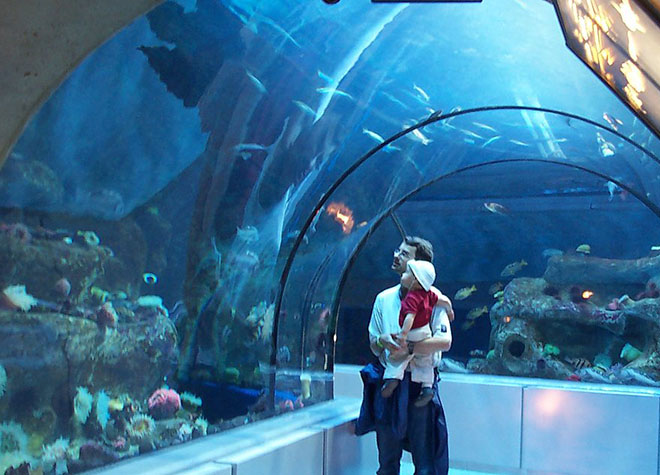 Квебекский аквариум