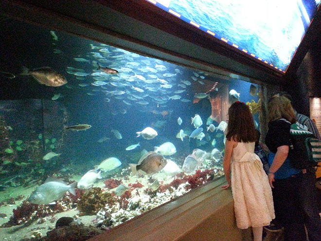 Ванкуверский аквариум