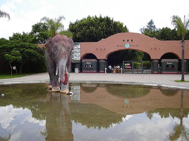 Национальный зоопарк Гвадалахары