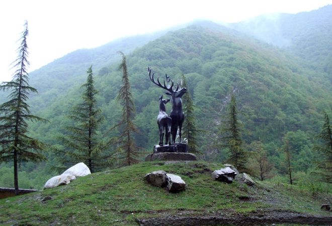 Памятник двум оленям в Пасанаури