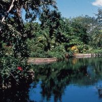 Парки и заповедники Багамских островов