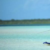 Рыбалка на Багамах