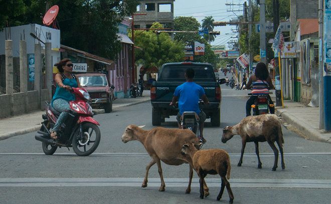 Ситуация на провинциальных дорогах Доминиканы