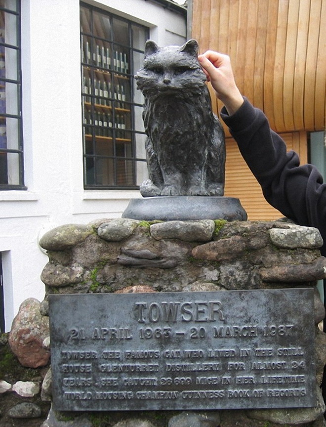Памятник кошке Таузер