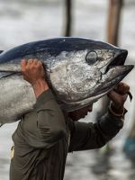 Рыбалка на Филиппинах