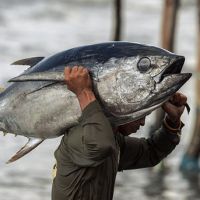 Рыбалка на Филиппинах