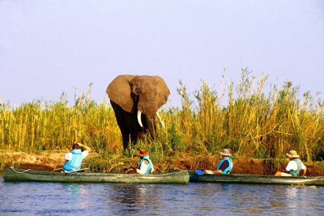Национальный парк Замбези