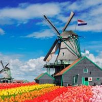 Культура Нидерландов