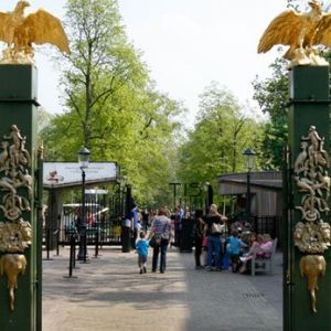 Зоопарк в Амстердаме