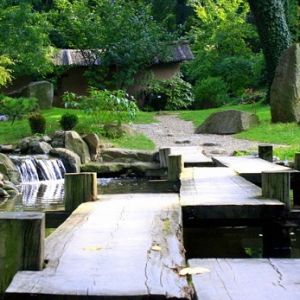 Ботанический сад (Белград)
