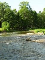 Реки в Болгарии