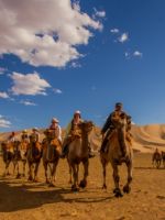 Экскурсии в Монголию