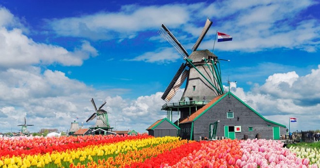 Культурная дипломатия. Культура и традиции голландии