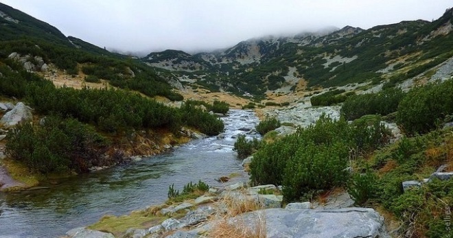 Национальные парки Болгарии