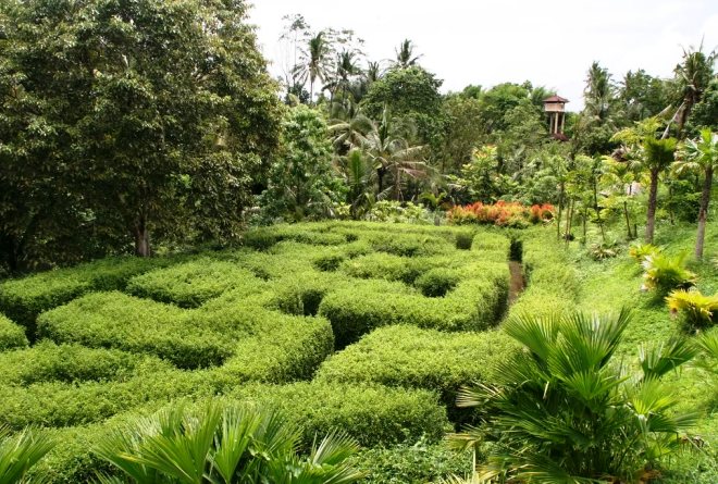 Ботанический сад Убуда