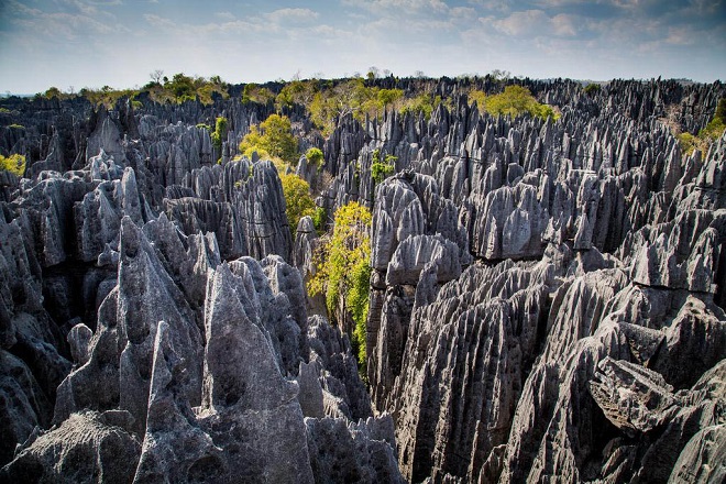 Каменный лес Цинжи-дю-Бемараха
