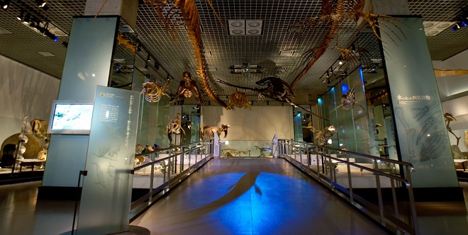 Музей науки в Японии