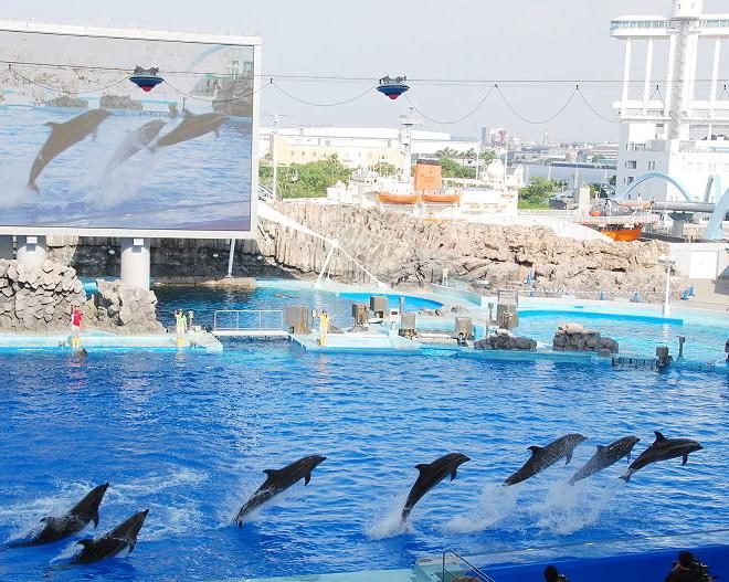 Океанариум «Port of Nagoya Public Aquarium»