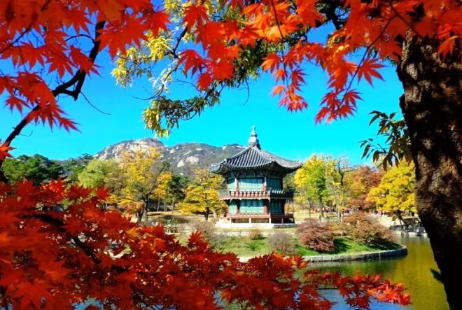 Осень в Южной Корее