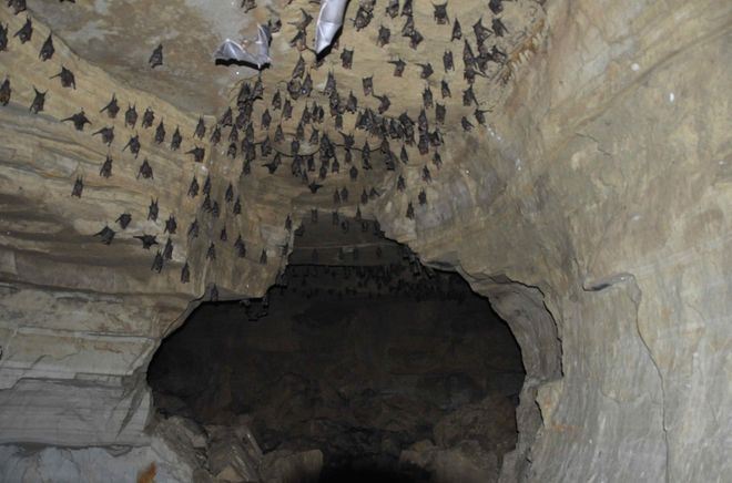 Пещера летучих мышей (Bat Cave)