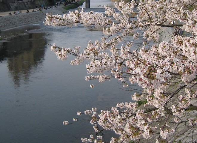Река Сакура-гава