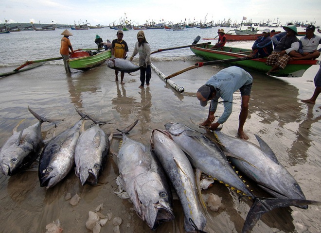 Рыбалка на Бали