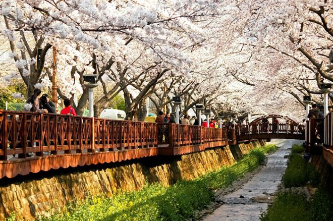 Весна в Южной Корее