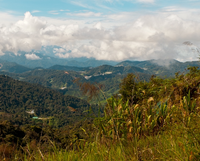 Вид на горы и тропические леса