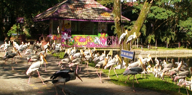 Зоопарк в Куала-Лумпур