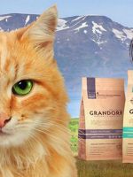 Корм Грандорф для кошек – где производят, состав, основные виды питания и норма