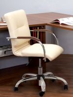 Офисный стул – характеристика, особенности разных видов, как правильно выбрать?