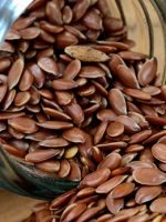 Семена льна – польза для здоровья мужчин и женщин, свойства масла, как правильно молоть семена?