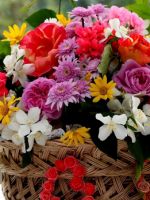 Композиции из цветов – особенности и примеры букетов из живых, стабилизированных и искусственных растений