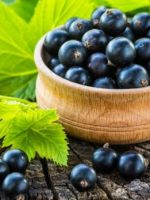 Польза черной смородины для мужчин и женщин, состав ягод, существующие противопоказания