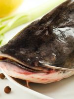 Рыба сом – характеристика продукта, как приготовить жареного, маринованного, запеченного и копченого сома?