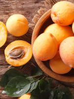 Абрикосы – польза и вред для здоровья мужчин, женщин и детей, сколько можно есть плодов?