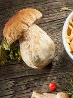Белый гриб – описание, рецепты приготовления крем-супа, ризотто, грибной икры, жульена, пасты, щей и других блюд 
