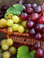 Виноград – польза и вред для организма, свойства черного, белого и красного вида, сколько можно есть?