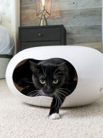 Дом для кошки – что это такое, каким бывает, как правильно выбрать, полезные аксессуары для домика