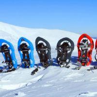 Снегоступы – что это такое, как выглядят, для чего нужны, сравнение с лыжами, как выбрать?
