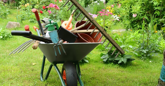 Садовый инструмент – основные предметы для ухода за садом и огородом, рекомендации по хранению