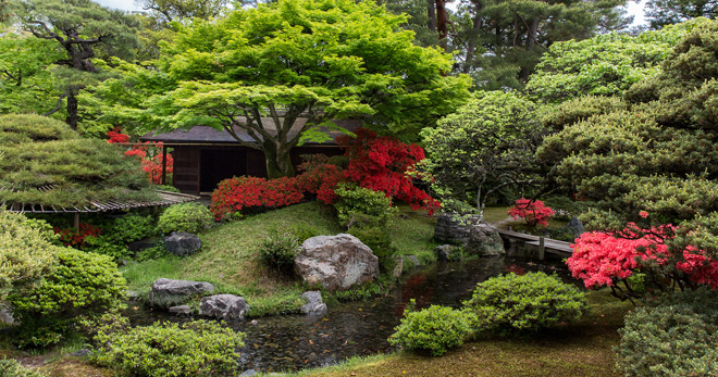 Курсовая работа по теме Японский сад
