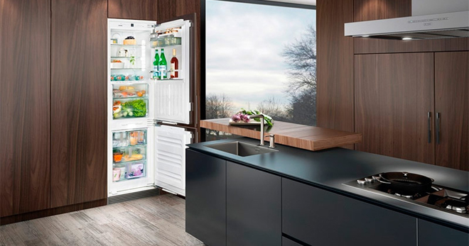 Встраиваемый холодильник – плюсы и минусы, особенности, как правильно выбрать?