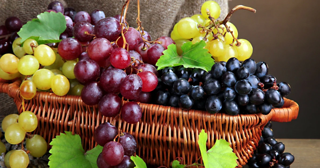 Виноград – польза и вред для организма, свойства черного, белого и красного вида, сколько можно есть?