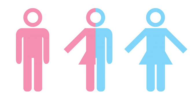 Интерсекс – что это такое, как выглядит интерсексуал, причины и основные виды 