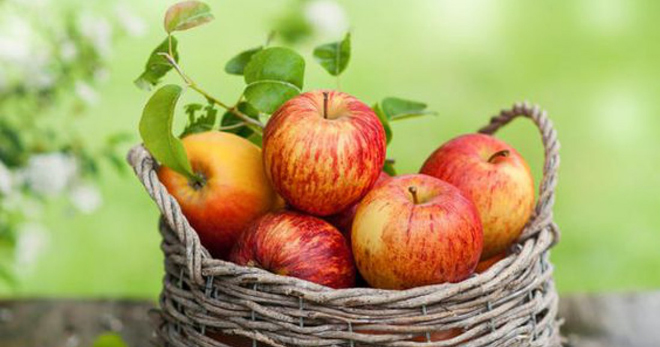 Как хранить яблоки на зиму в погребе, холодильнике, на балконе, как подготовить плоды к хранению?