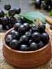 Рецепты черноплодной рябины - десерты, выпечка и алкоголь